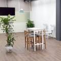 Edwards Technologies Singapore - Loyang | Product Seen: [Mila Lounger + PP leg, Zara Arm Chair – PP + Wood & Decker Bar Table – W1100]